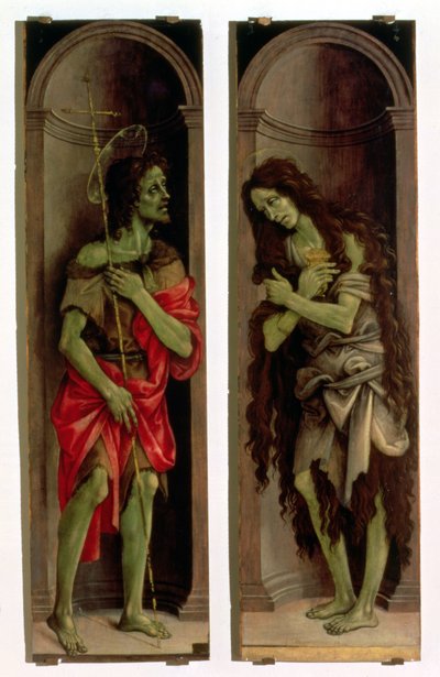 St. Johannes der Täufer und St. Maria Magdalena von Filippino Lippi